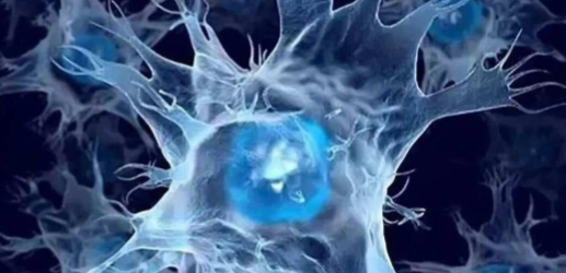 5-Amino-1MQ NAMPT Activation and NAD+ Synthesis | Shaanxi BLOOM Tech Co., Ltd 5-Amino-1MQ NAMPT Activation and NAD+ Synthesis | Shaanxi BLOOM Tech Co., Ltd