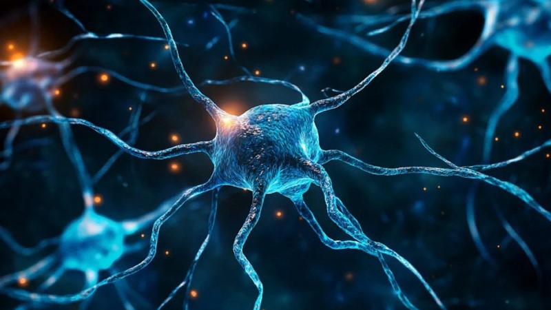 Semaglutide Neurodegenerative | Shaanxi BLOOM Tech Co., Ltd Semaglutide Neurodegenerative | Shaanxi BLOOM Tech Co., Ltd